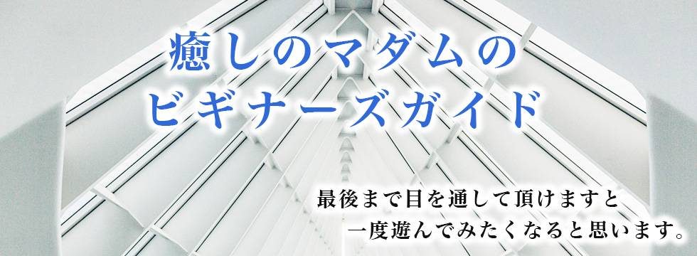 癒しのマダムのビギナーズガイド