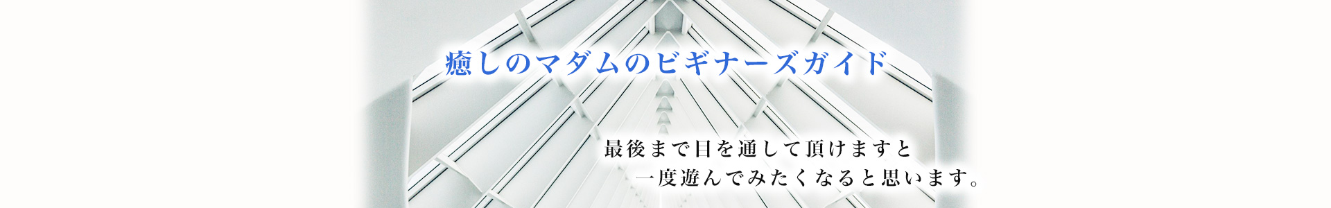 癒しのマダムのビギナーズガイド